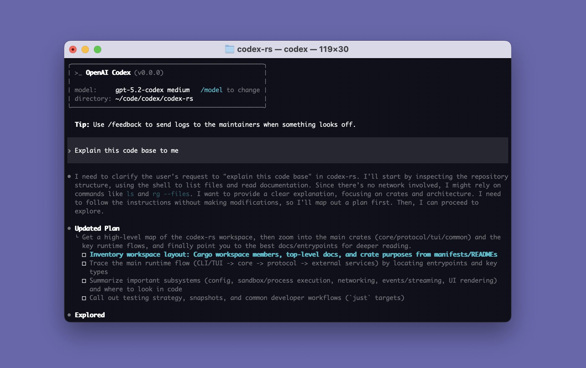 codex-cli-overview